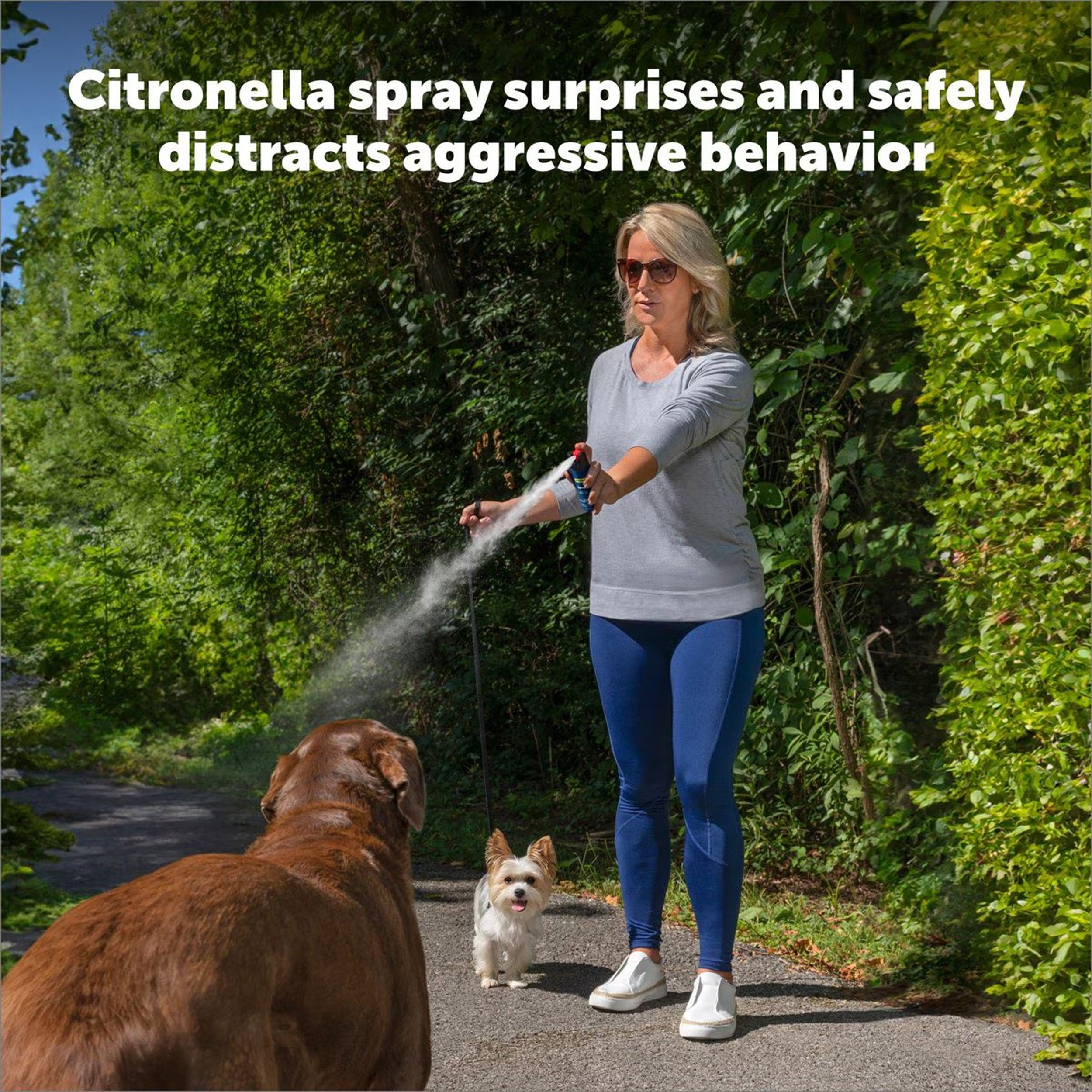 PetSafe Spray Shield Animal Deterrent Spray