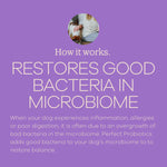 Load image into Gallery viewer, YumWoof! Perfect Probiotics, Dog Food Topper, 2.1oz
