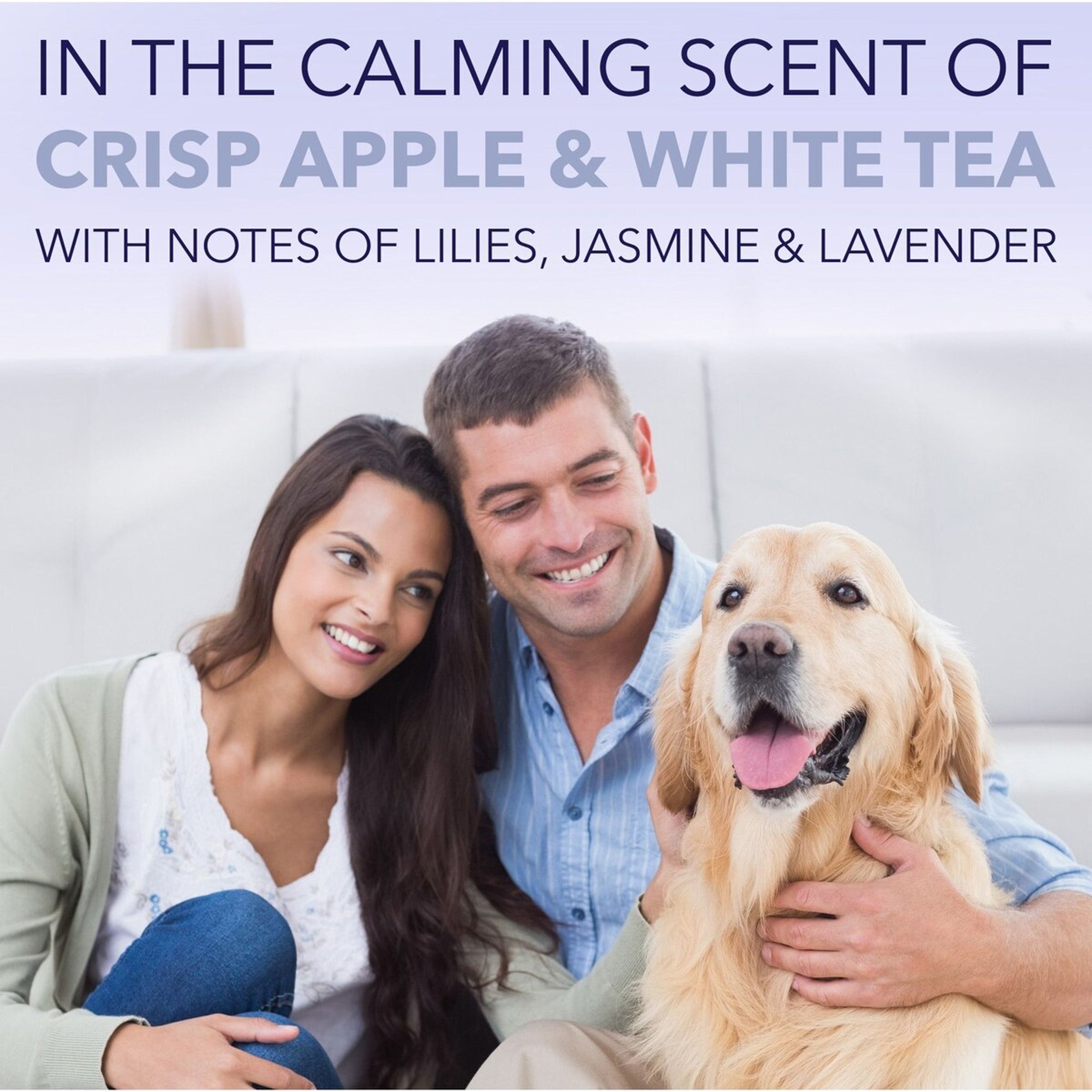 TropiClean Spa White Coat Dog & Cat Shampoo, Luxurious Lavender Scent, 16-fl oz bottle