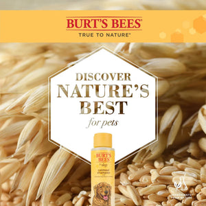 Burt's Bees Oatmeal with Colloidal Oat Flour & Honey Dog Shampoo, 16-fl oz bottle