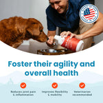 Load image into Gallery viewer, Paramount Pet Health Glucosamine Hip &amp; Joint Supplement for Dogs, 32-fl oz bottle
