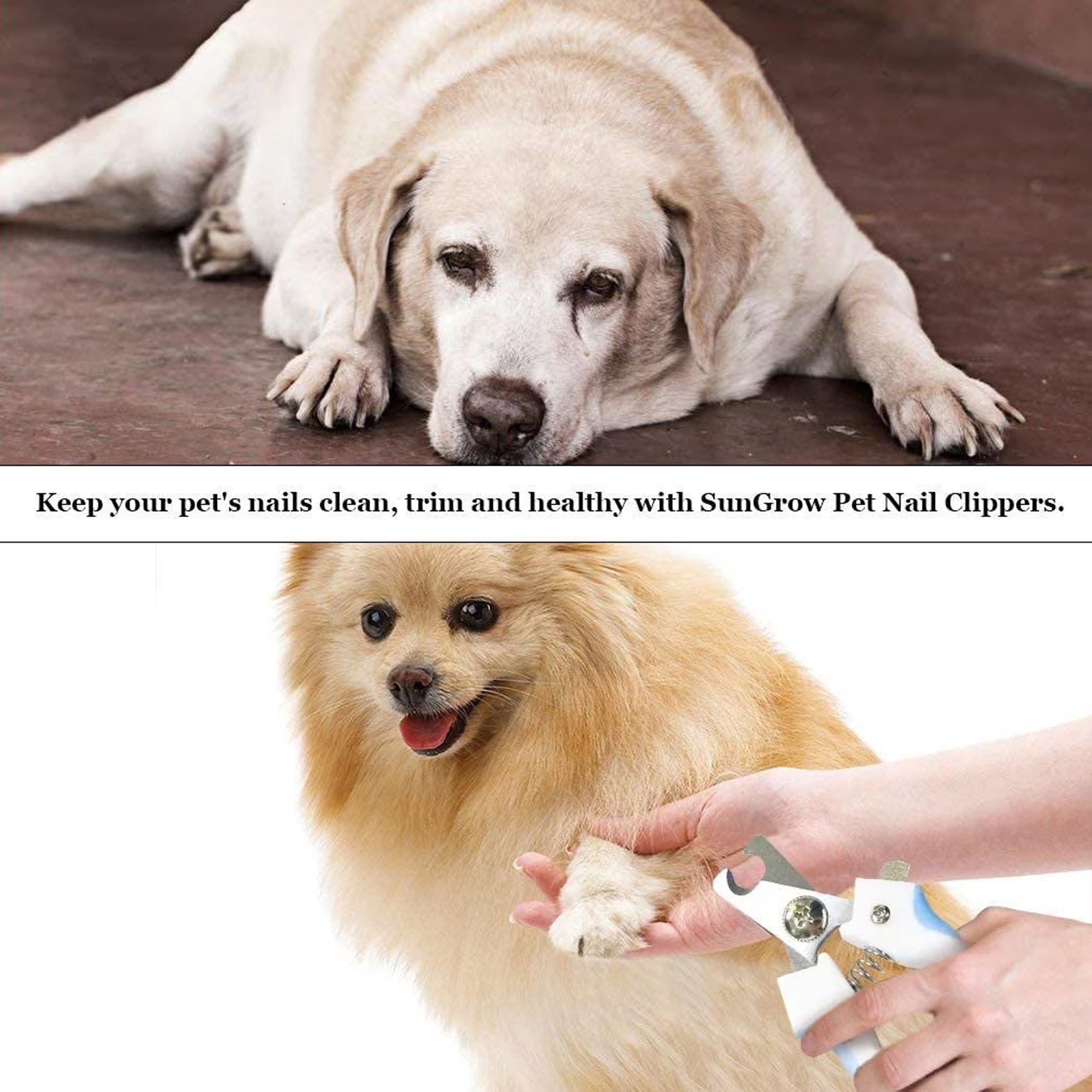 Cat & Dog Nail Trimmers & File Set, Clippers for Claw Care & Small Pet Grooming