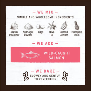 Earth Animal No-Hide Dog Chew, Salmon, 1-Count