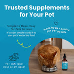 Load image into Gallery viewer, Paramount Pet Health Omega-3 Fish Oil Dog &amp; Cat Supplement, 2-fl oz bottle
