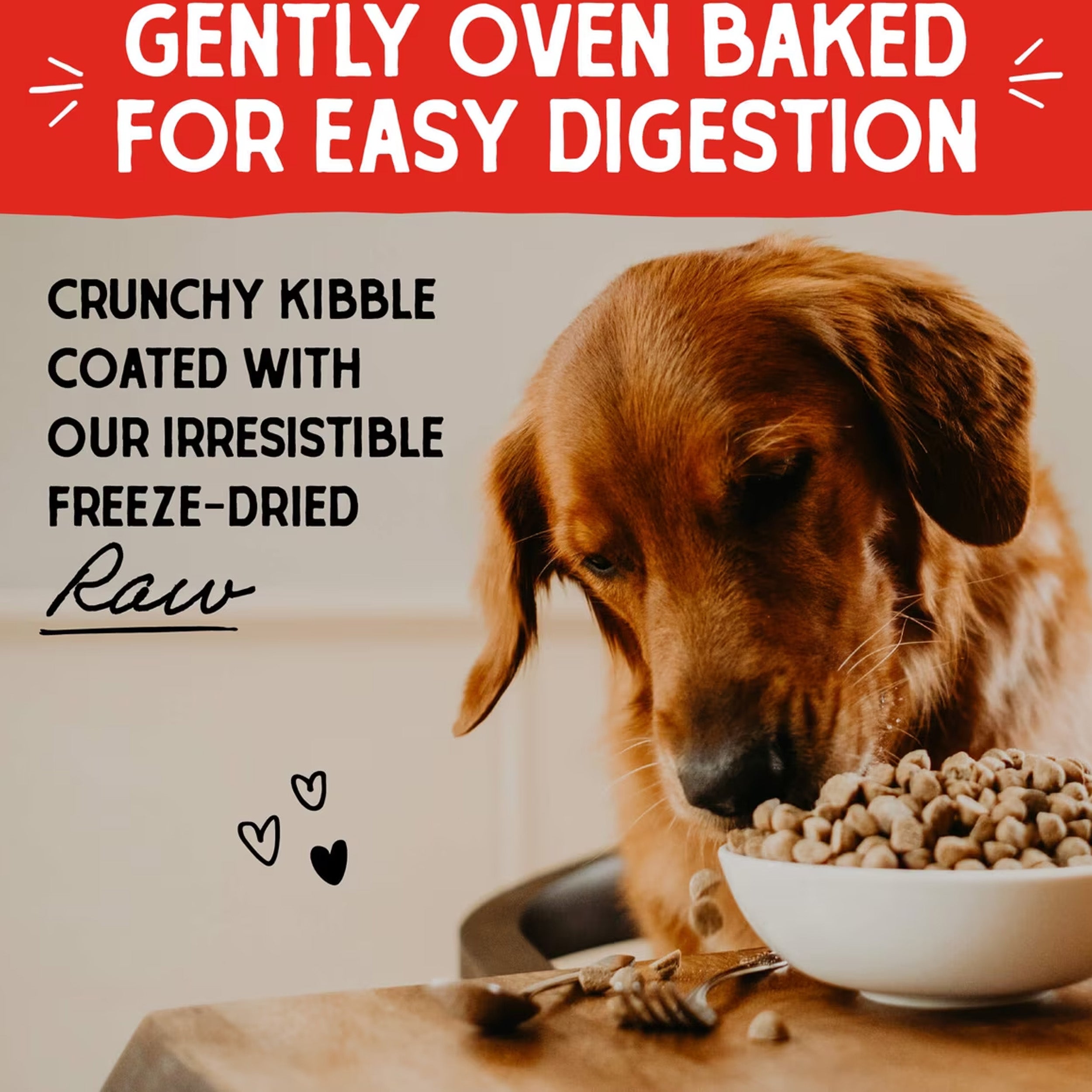 Stella & Chewy's Raw Coated Grass-Fed Beef Recipe Grain-Free Dry Dog Food, 3.5-lb bag