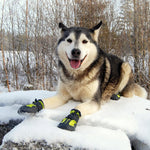 Load image into Gallery viewer, Truelove Anti-Slip Dog Shoe with Hook&amp;Loop Design
