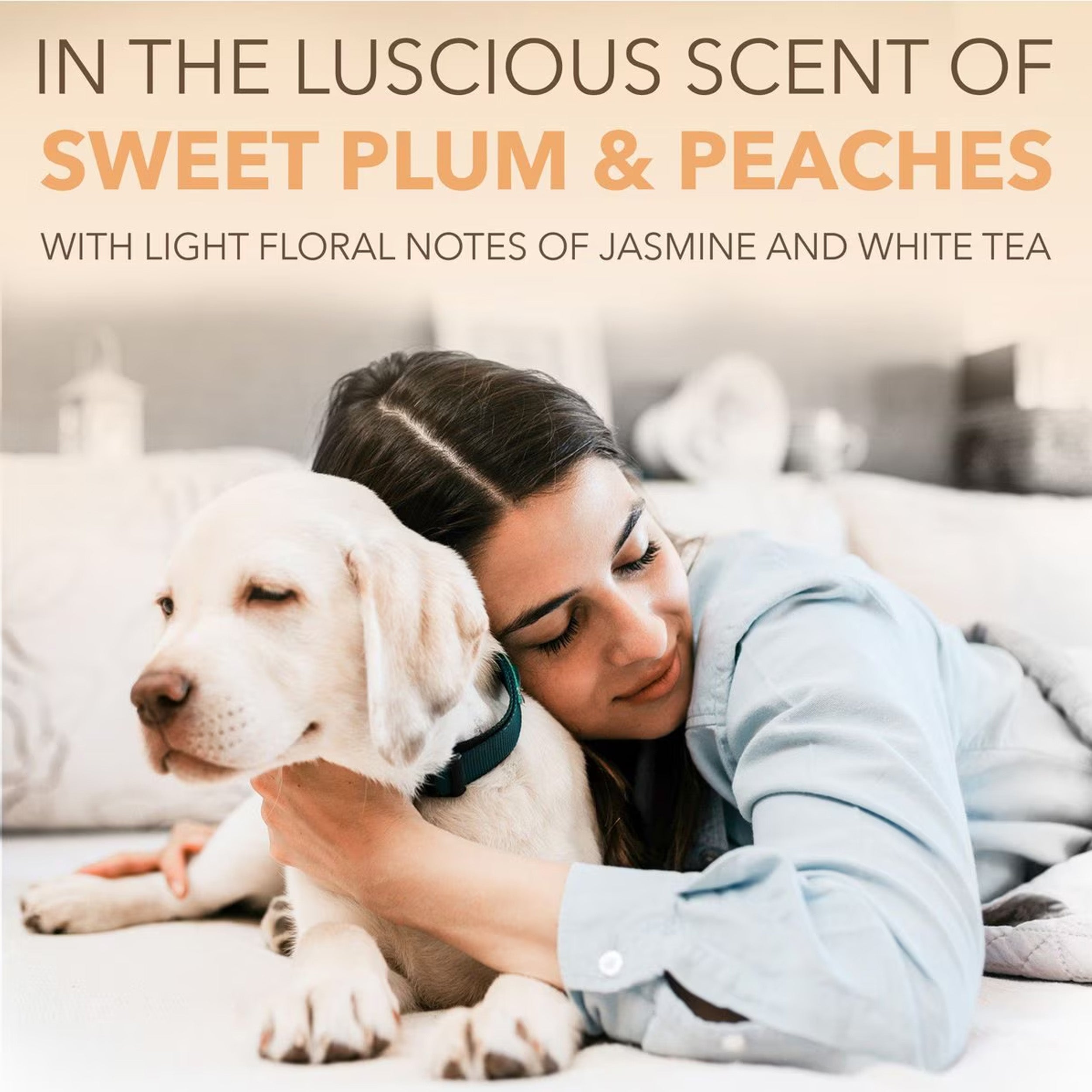 TropiClean Spa Renew Oatmeal Dog & Cat Shampoo, Luscious Sweet Plum & Peaches Scent, 16-fl oz bottle