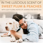 Load image into Gallery viewer, TropiClean Spa Renew Oatmeal Dog &amp; Cat Shampoo, Luscious Sweet Plum &amp; Peaches Scent, 16-fl oz bottle
