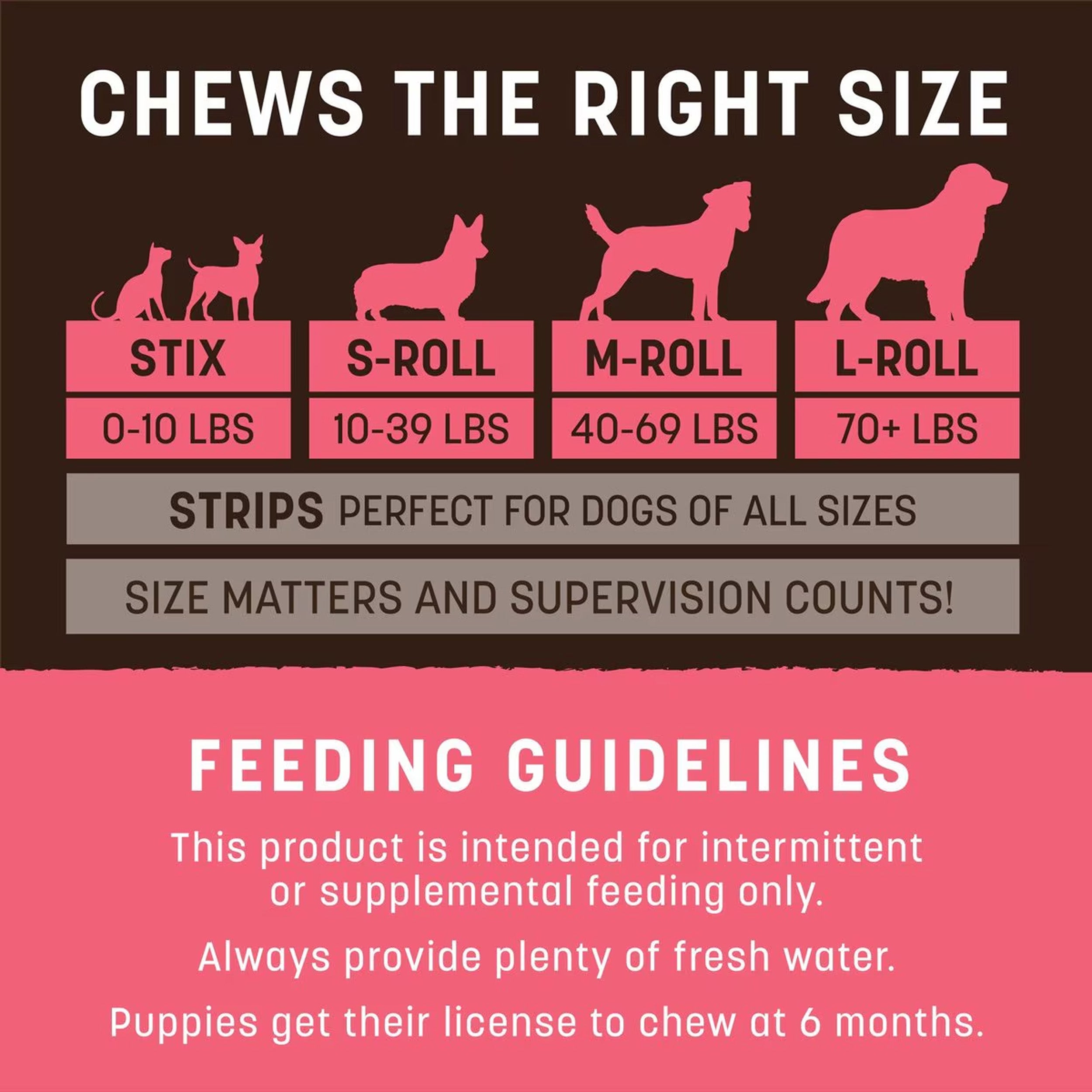 Earth Animal No-Hide Dog Chew, Salmon, 1-Count