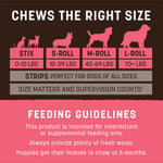Load image into Gallery viewer, Earth Animal No-Hide Dog Chew, Salmon, 1-Count
