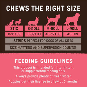 Earth Animal No-Hide Dog Chew, Salmon, 1-Count