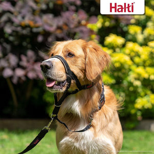 Halti OptiFit Nylon Padded No Pull Dog Headcollar