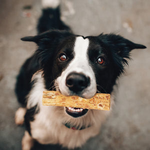 Fieldcrest Farms, Beef, Natural Chew Dog Treats, 1 count