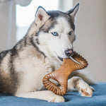 Load image into Gallery viewer, Benebone Peanut Butter Flavor Dental Tough Dog Chew Toy
