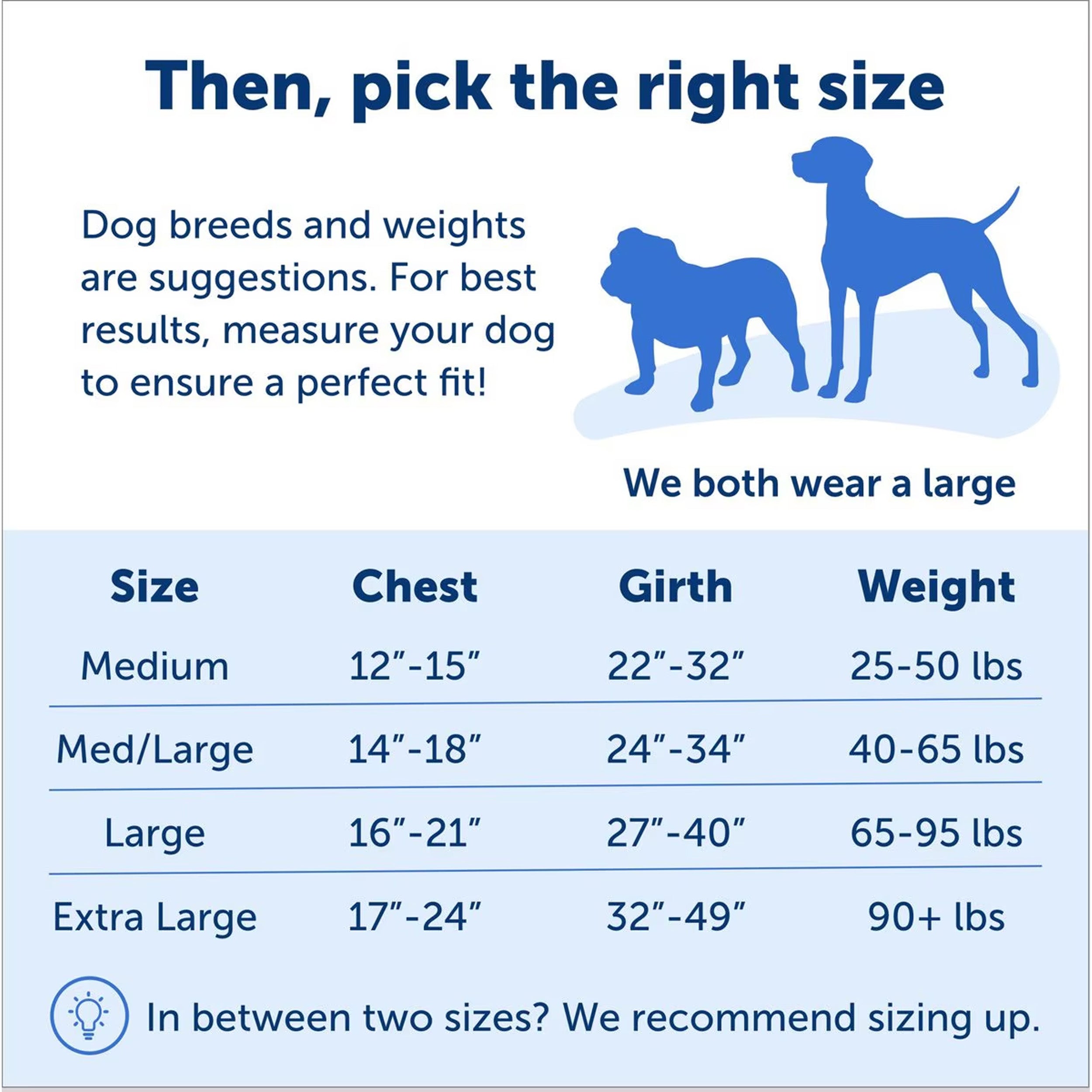 PetSafe Easy Walk Dog Harness