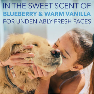 TropiClean Spa Dog Facial Cleanser & Tear Stain Remover