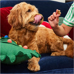 Load image into Gallery viewer, Milk n Cookies Peanut Butter &amp; Vanilla Limited Ingredient Soft &amp; Chewy Dog Treats, 6-oz bag
