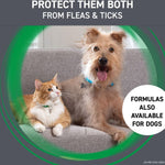 Load image into Gallery viewer, Frontline Plus Flea &amp; Tick Spot Treatment for Cats, over 1.5 lbs, 3 Doses (3-6mos. supply)
