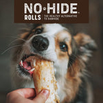 Load image into Gallery viewer, Earth Animal No-Hide Dog Chew, Salmon, 1-Count
