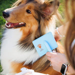 Load image into Gallery viewer, Flying Pawfect Flat Slicker Brush
