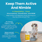 Load image into Gallery viewer, Paramount Pet Health Liquid Vitamins for Dogs Skin &amp; Coat Support Dog Supplement, 32-fl oz bottle
