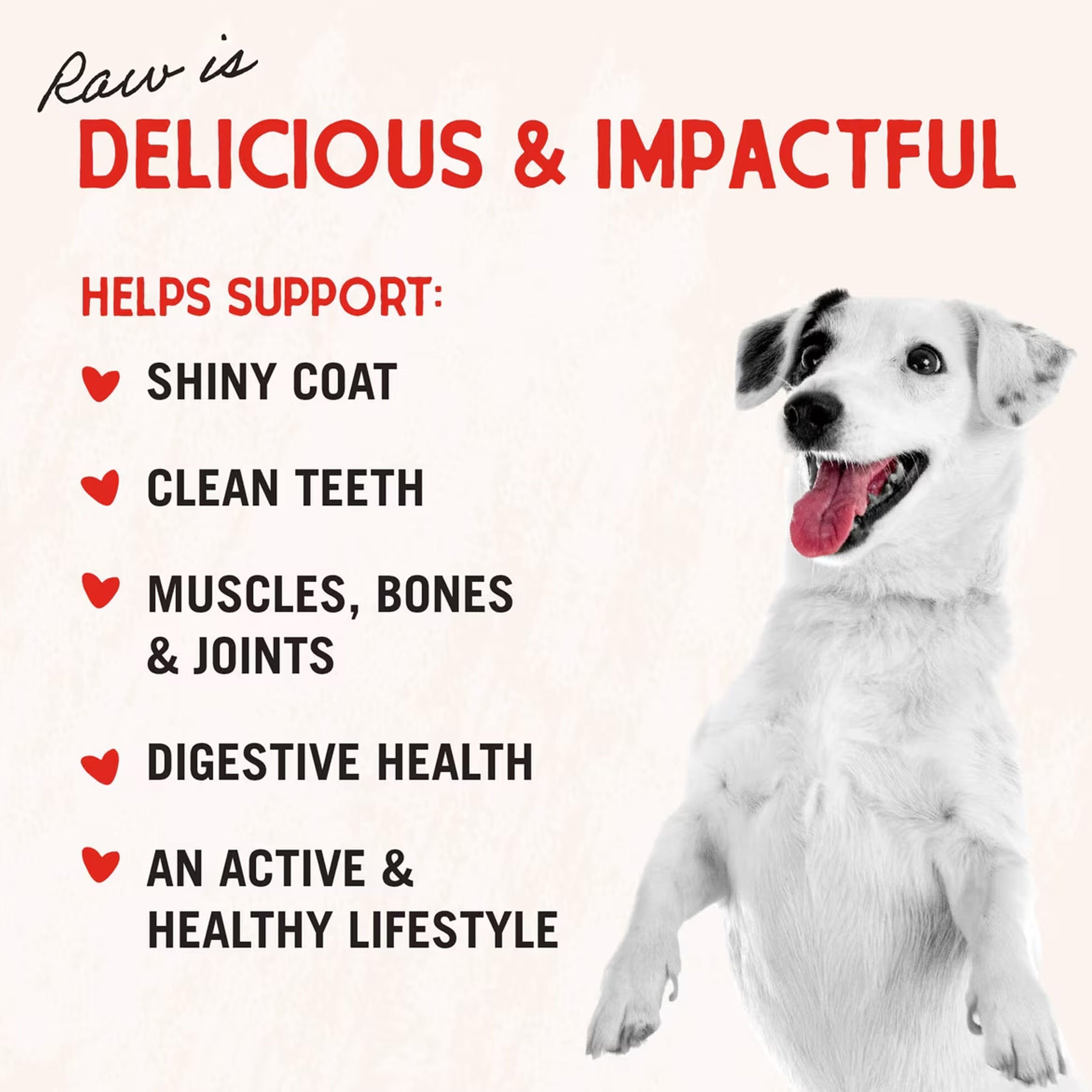 Stella & Chewy's Raw Coated Grass-Fed Beef Recipe Grain-Free Dry Dog Food, 3.5-lb bag