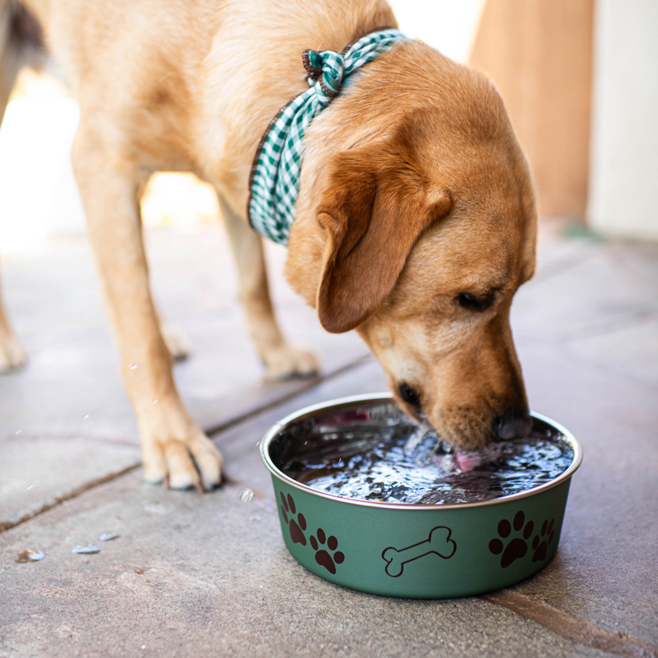 Loving Pets Stainless Steel Dog Bowl, Paw Print & Bone