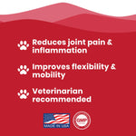 Load image into Gallery viewer, Paramount Pet Health Glucosamine Hip &amp; Joint Supplement for Dogs, 32-fl oz bottle
