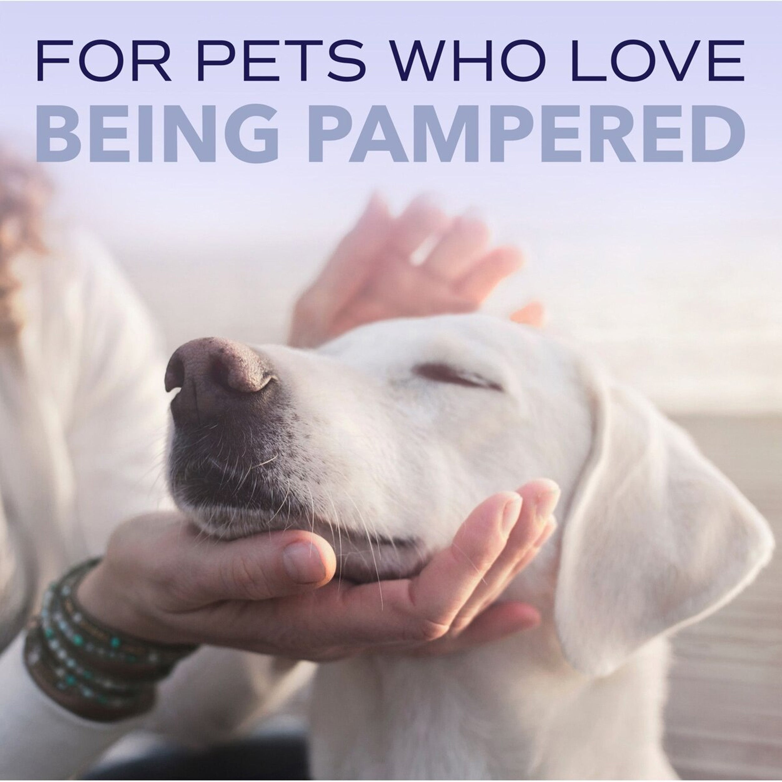 TropiClean Spa White Coat Dog & Cat Shampoo, Luxurious Lavender Scent, 16-fl oz bottle