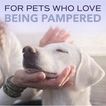 Load image into Gallery viewer, TropiClean Spa White Coat Dog &amp; Cat Shampoo, Luxurious Lavender Scent, 16-fl oz bottle
