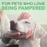 Load image into Gallery viewer, TropiClean Spa Comfort Oatmeal Shampoo for Dogs &amp; Cats, Succulent Kiwi Scent, 16-fl oz bottle
