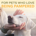 Load image into Gallery viewer, TropiClean Spa Nourish Dog &amp; Cat Conditioner, Fresh Plumeria Scent, 16-fl oz bottle
