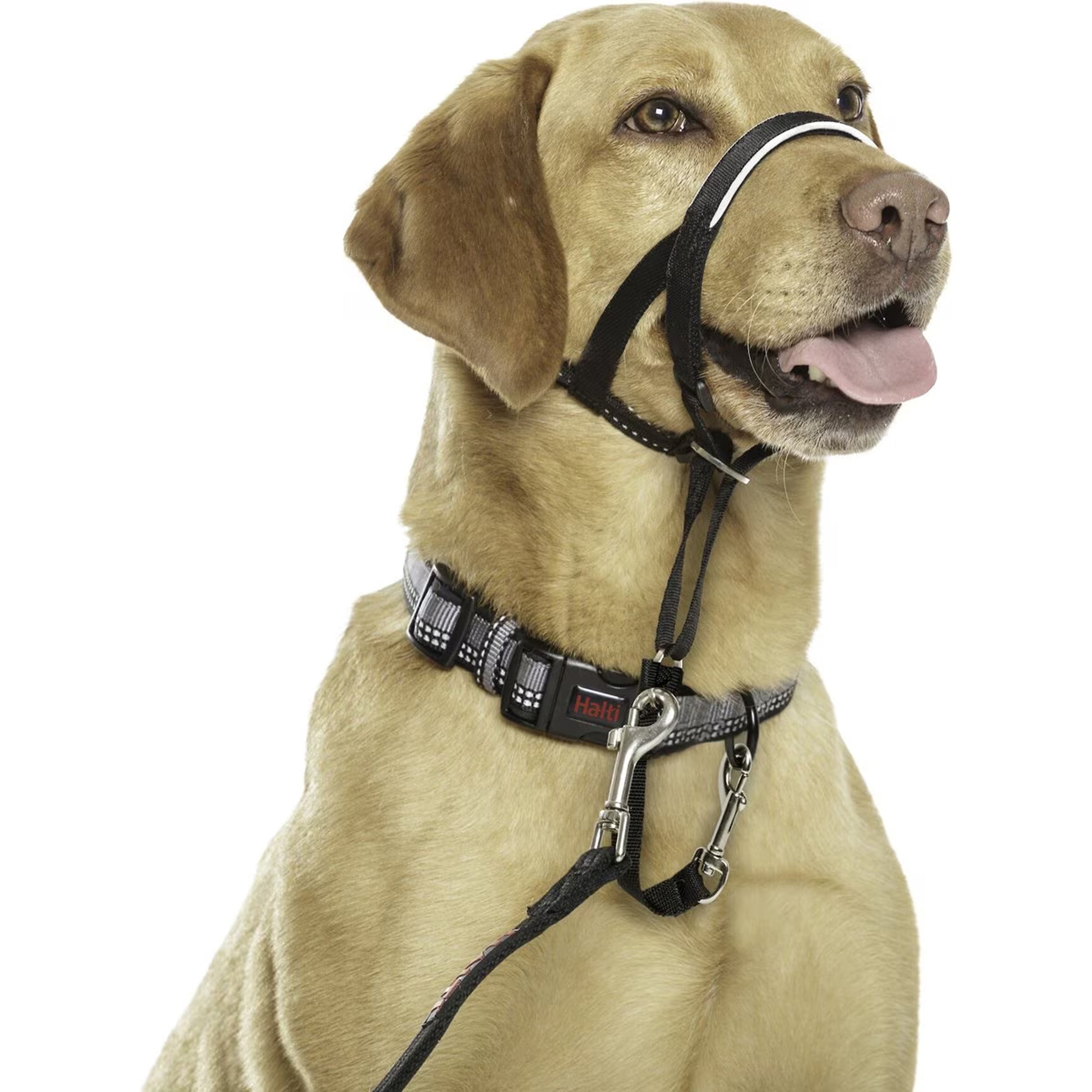 Halti OptiFit Nylon Padded No Pull Dog Headcollar