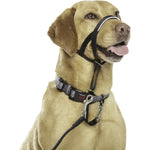 Load image into Gallery viewer, Halti OptiFit Nylon Padded No Pull Dog Headcollar

