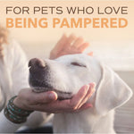 Load image into Gallery viewer, TropiClean Spa Renew Oatmeal Dog &amp; Cat Shampoo, Luscious Sweet Plum &amp; Peaches Scent, 16-fl oz bottle
