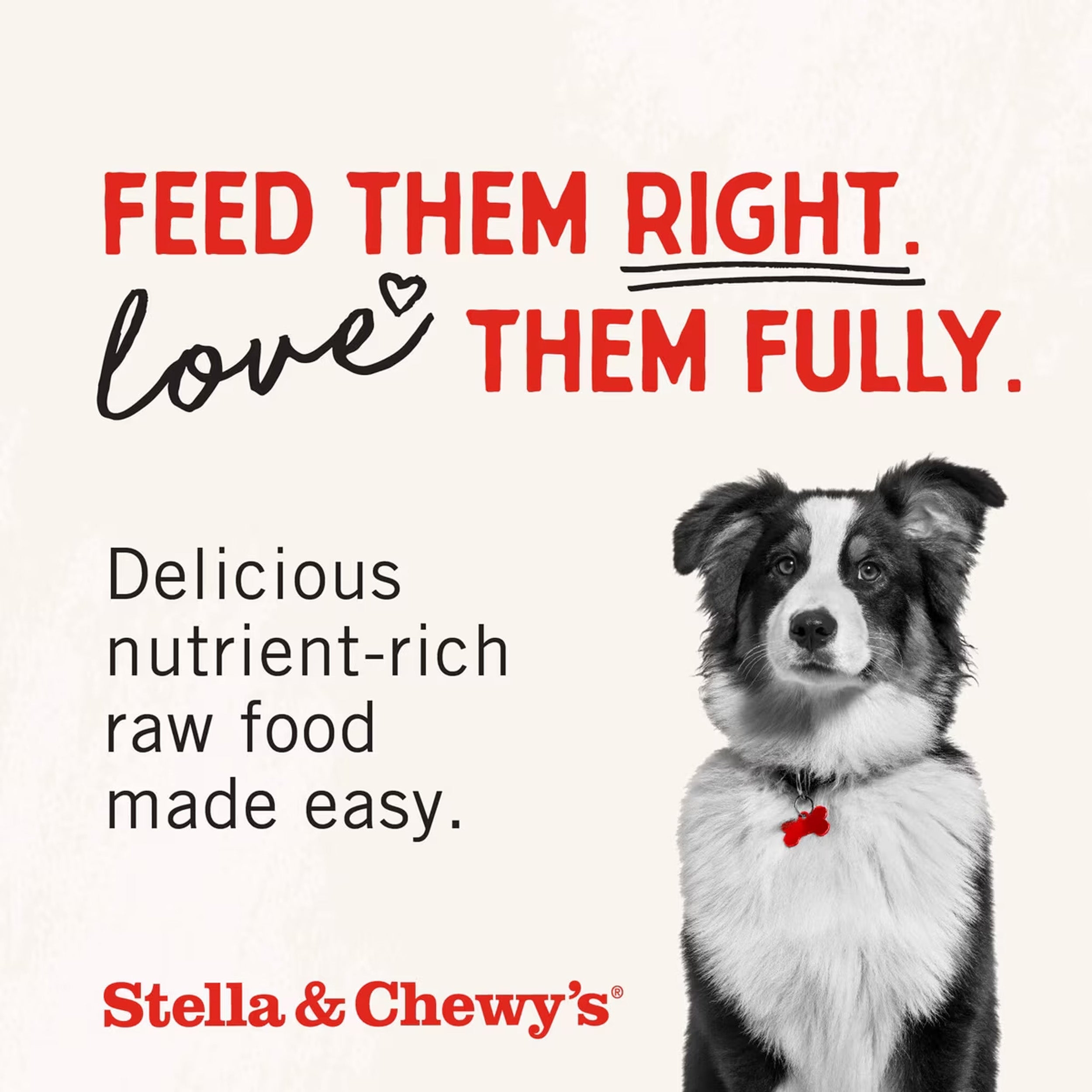 Stella & Chewy's Raw Coated Grass-Fed Beef Recipe Grain-Free Dry Dog Food, 3.5-lb bag