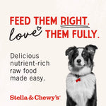 Load image into Gallery viewer, Stella &amp; Chewy&#39;s Raw Coated Grass-Fed Beef Recipe Grain-Free Dry Dog Food, 3.5-lb bag
