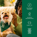 Load image into Gallery viewer, Earth Rated Vet-Developed Hypoallergenic Pet Ear Wipes Wild Oat Scent, 70 count
