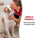 Load image into Gallery viewer, A woman kneels beside a white and brown dog on a light wood floor, with text on the right that reads 'GENTLE FORMULA Helps freshens dog's coat between baths.' The product itself is not directly visible, so this is best classified as Lifestyle rather than Product/Packaging.
