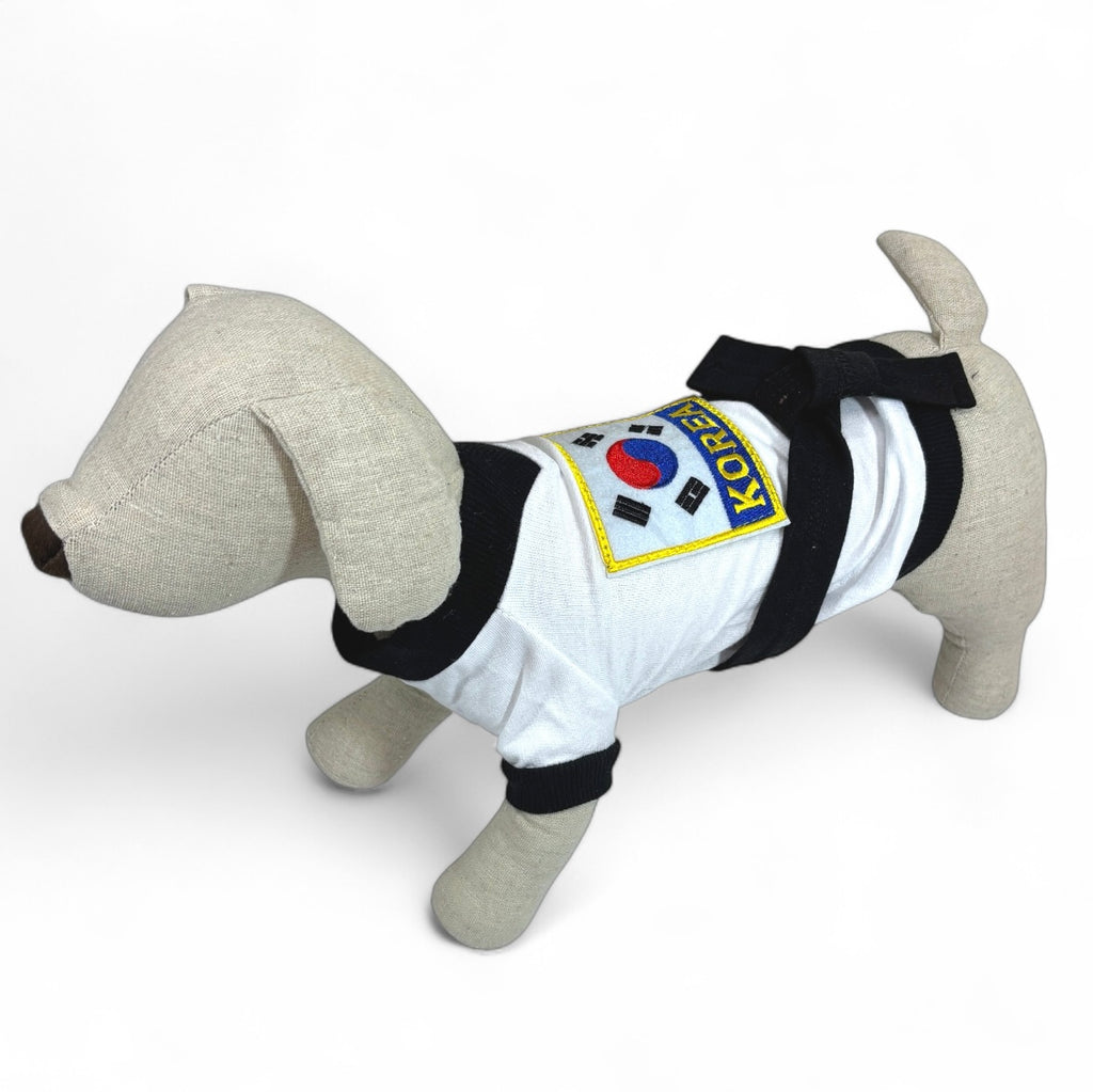 Korean Taekwondo Master of the Arts Dog Costume
