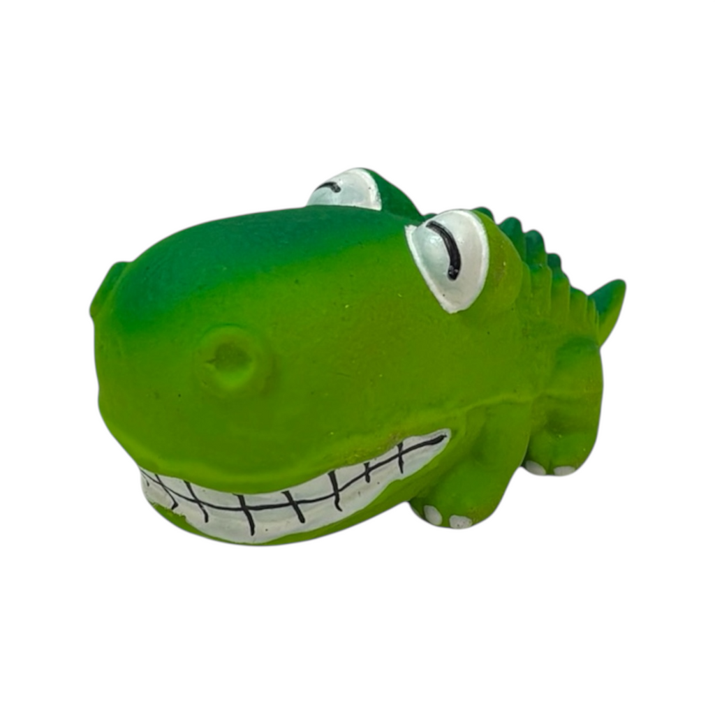 Mini Baby Alligator