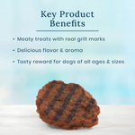 Load image into Gallery viewer, Blue Buffalo True Chews Beef Burger Recipe Dog Treats, 10-oz bag
