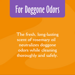 Load image into Gallery viewer, Earthbath Deodorizing Rosemary Dog &amp; Cat Shampoo, 16-oz bottle

