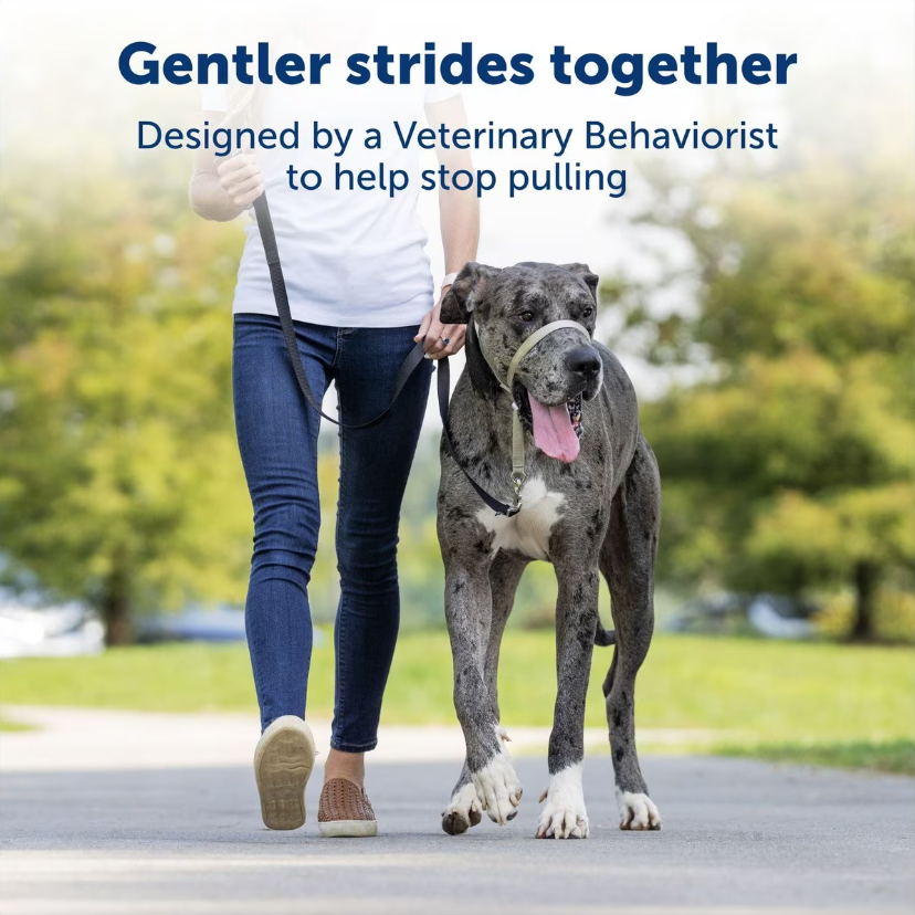 PetSafe Gentle Leader Padded No Pull Dog Headcollar, Royal Blue