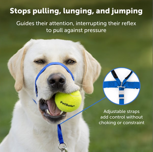 PetSafe Gentle Leader Padded No Pull Dog Headcollar, Royal Blue