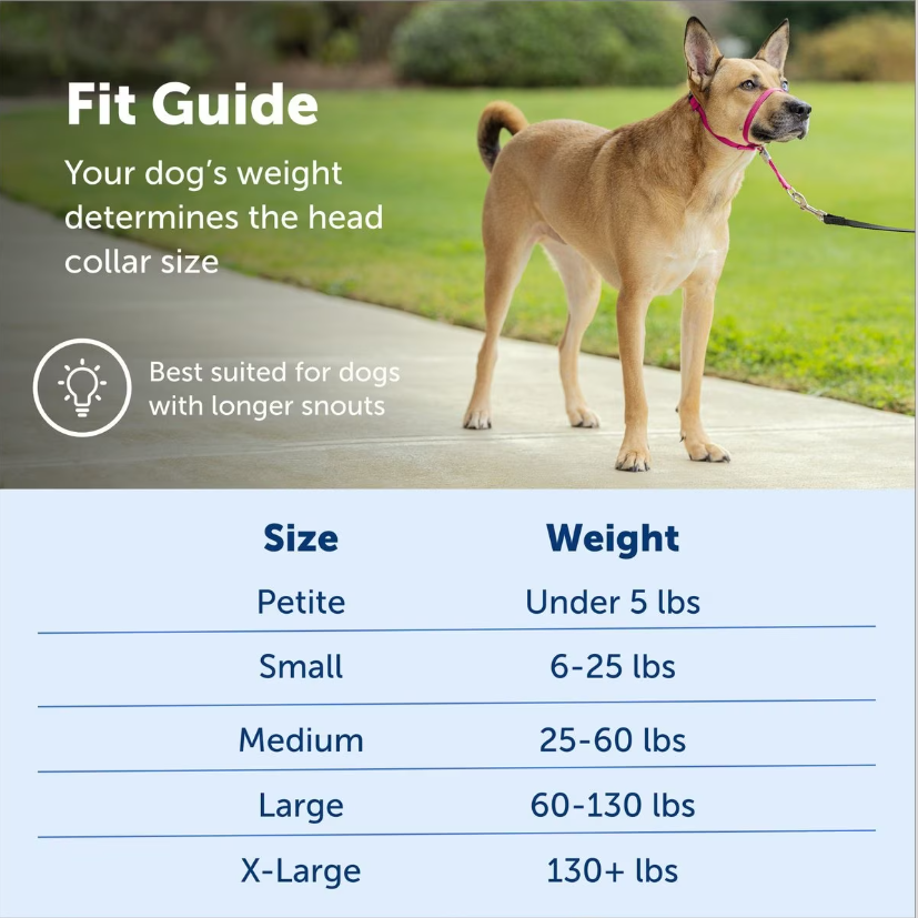 PetSafe Gentle Leader Padded No Pull Dog Headcollar, Royal Blue