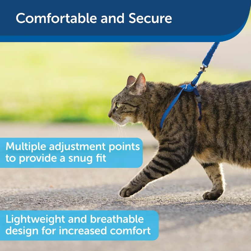 PetSafe Come with Me Kitty Nylon Cat Harness & Bungee Leash