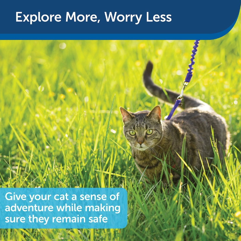 PetSafe Come with Me Kitty Nylon Cat Harness & Bungee Leash