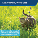 Load image into Gallery viewer, PetSafe Come with Me Kitty Nylon Cat Harness &amp; Bungee Leash
