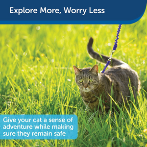 PetSafe Come with Me Kitty Nylon Cat Harness & Bungee Leash